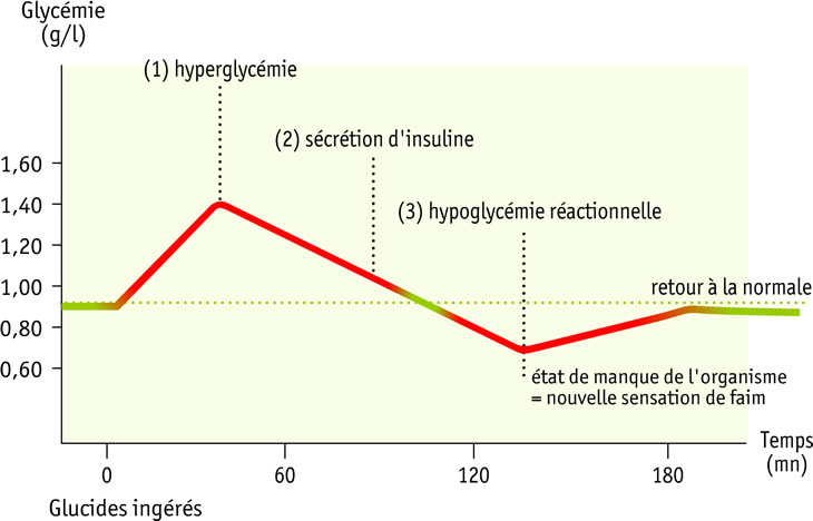 graph glycemie